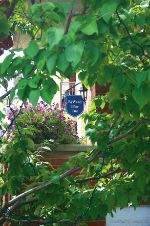 Imagen general del Hotel Byward Blue Inn. Foto 6