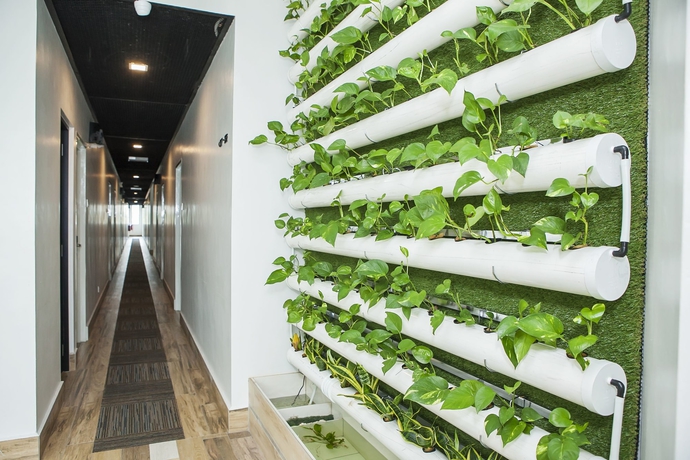 Imagen de los interiores del Hotel Bzz. Foto 13