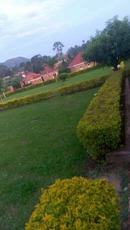 Imagen general del Hotel C and G Heritage Cottage. Foto 10