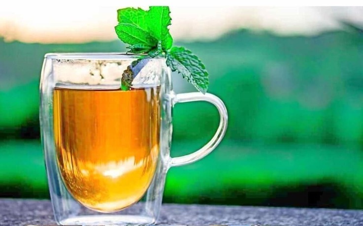 Imagen general del Hotel C7 Munnar. Foto 2