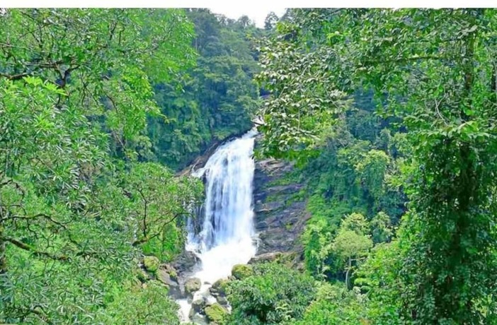 Imagen general del Hotel C7 Munnar. Foto 11