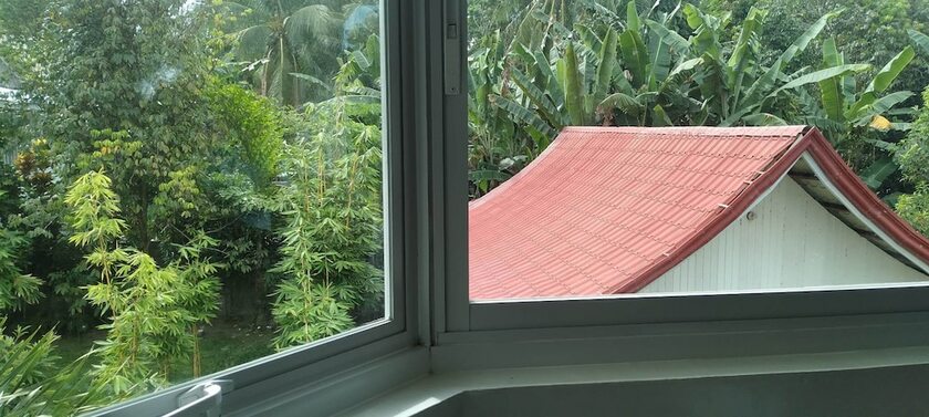 Imagen general del Hotel CAMIGUIN LANZONES RESORT. Foto 9