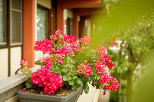 Imagen general del Hotel CAMPANILE ROTTERDAM WEST - Vlaardingen. Foto 11