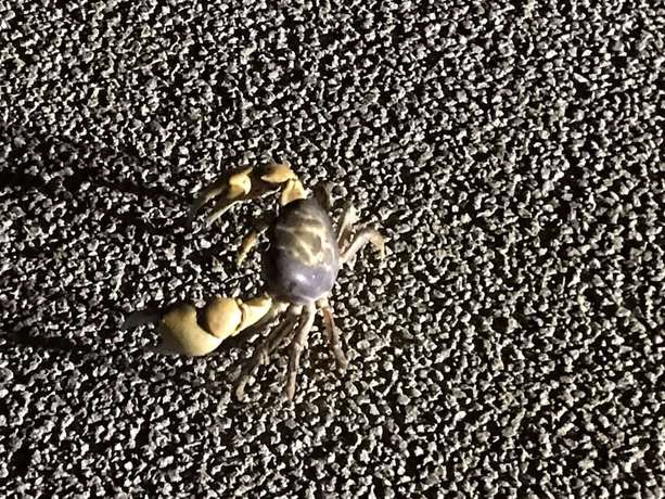 Imagen de los exteriores del Hotel CASA DUMAI Beach Hotel Okinawa. Foto 15