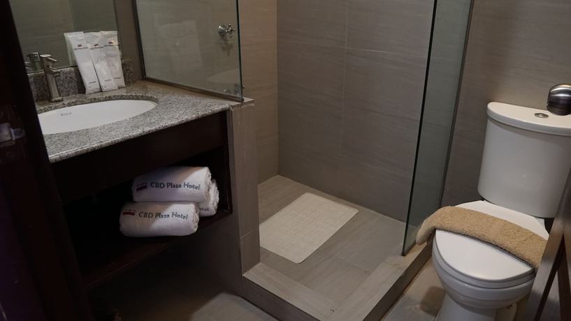 Imagen de la habitación del Hotel CBD Plaza. Foto 8