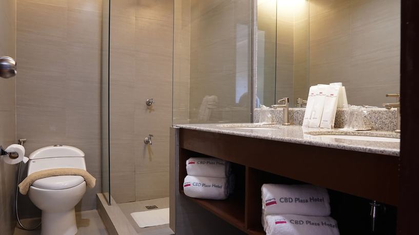 Imagen de la habitación del Hotel CBD Plaza. Foto 17