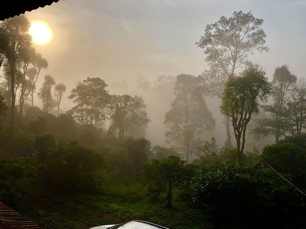 Imagen de la habitación del Hotel CG-Ala The Coffee Grove. Foto 15