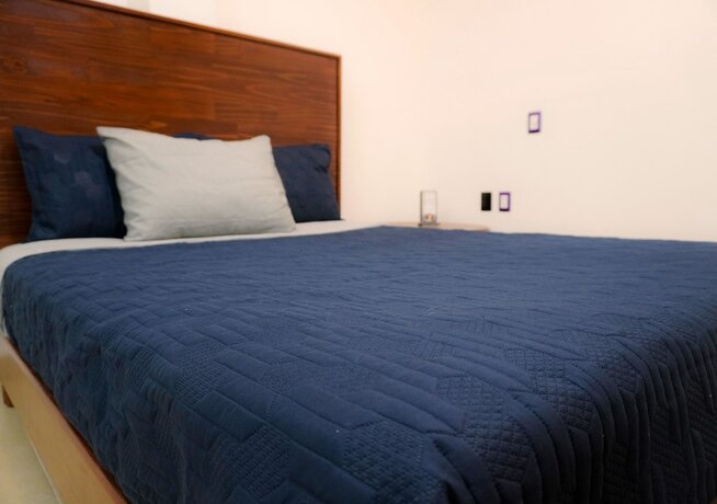 Imagen de la habitación del Hotel CHOLOA. Foto 16