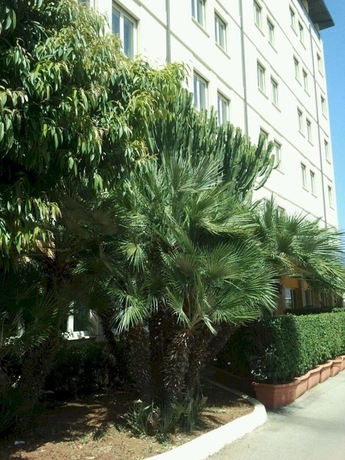 Imagen general del Hotel CIT HOTELS - DEA PALERMO (ex Idea Palermo). Foto 7