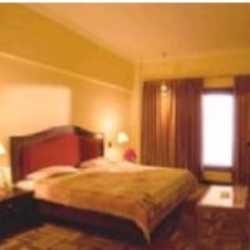 Imagen de la habitación del Hotel CITY PALACE, Nueva Delhi. Foto 2