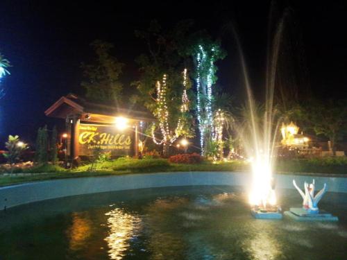 Imagen general del Hotel CK Hills. Foto 3