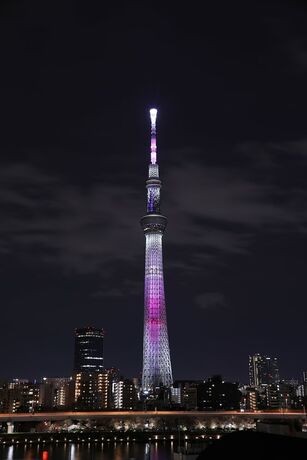 Imagen general del Hotel COB HOTEL ASAKUSA. Foto 11
