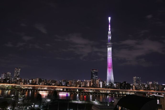 Imagen general del Hotel COB HOTEL ASAKUSA. Foto 17