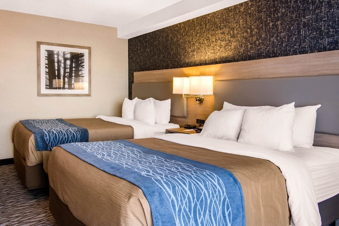 Imagen de la habitación del Hotel COMFORT INN AEROPORT. Foto 4