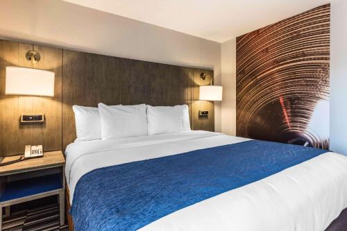 Imagen de la habitación del Hotel COMFORT INN & SUITES, Memphis. Foto 8