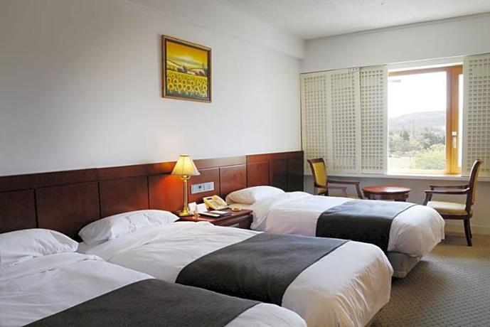 Imagen general del Hotel COMMODORE HOTEL GYEONGJU. Foto 3