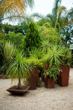 Imagen de los exteriores del Hotel COSMOS CUISINE GUEST HOUSE. Foto 7