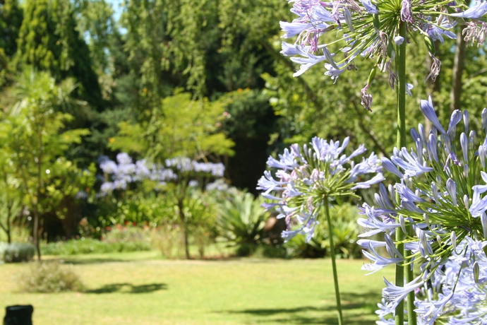 Imagen de los exteriores del Hotel COSMOS CUISINE GUEST HOUSE. Foto 8