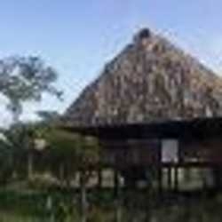 Imagen general del Hotel COTTON TREE LODGE. Foto 1