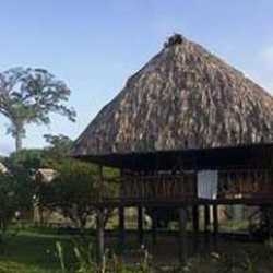 Imagen general del Hotel COTTON TREE LODGE. Foto 2