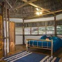 Imagen general del Hotel COTTON TREE LODGE. Foto 3
