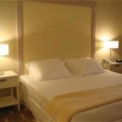 Imagen general del Hotel CROWNE PLAZA CURITIBA. Foto 8