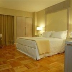 Imagen general del Hotel CROWNE PLAZA CURITIBA. Foto 10