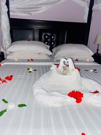 Imagen general del Hotel CRYSTAL APARTMENT HOTEL AND LODGES. Foto 12