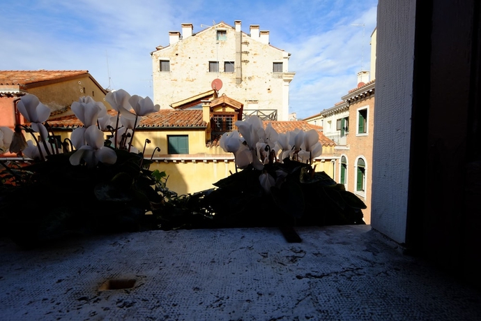 Imagen general del Hotel Ca' Pedrocchi. Foto 3