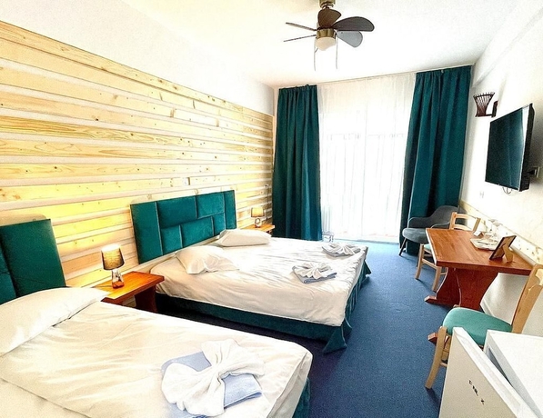 Imagen general del Hotel Cabana Sura Getilor Arinis. Foto 1