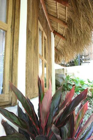 Imagen general del Hotel Cabanas Biuzaa. Foto 7