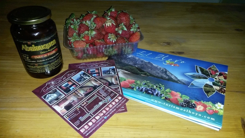 Imagen de la habitación del Hotel Cabanas Valle del Pirque. Foto 9