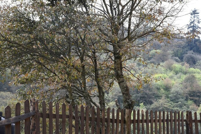 Imagen general del Hotel Caba&ntilde;a El Encino en Real del Monte. Foto 9