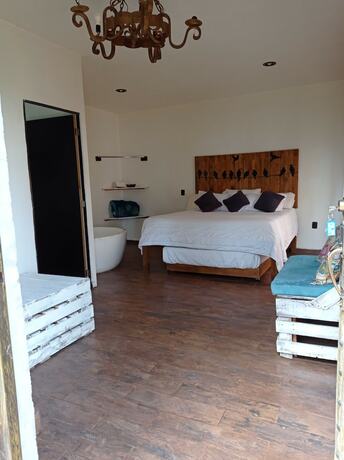 Imagen de la habitación del Hotel Caba&ntilde;as Azul Tequilana. Foto 15