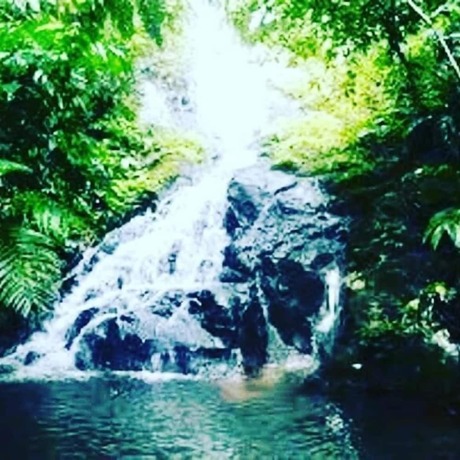 Imagen general del Hotel Caba&ntilde;as Cascadas Encantadas. Foto 13