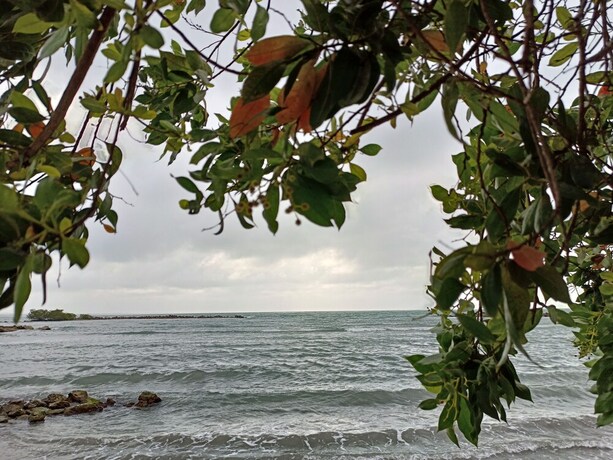 Imagen general del Hotel Caba&ntilde;as Cigua. Foto 16