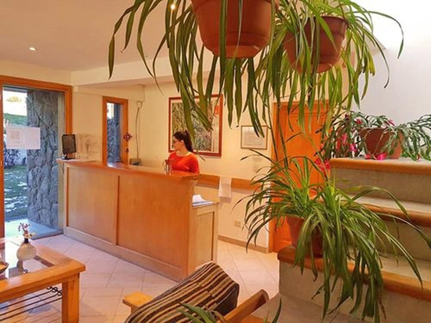 Imagen de los interiores del Hotel Caba&ntilde;as Del Lacar. Foto 19