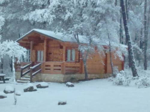 Imagen de la habitación del Hotel Caba&ntilde;as El Llano De Los Conejos. Foto 4