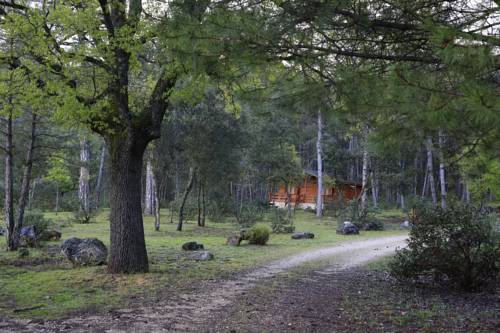 Imagen de la habitación del Hotel Caba&ntilde;as El Llano De Los Conejos. Foto 5