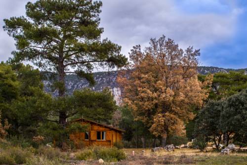 Imagen de los exteriores del Hotel Caba&ntilde;as El Llano De Los Conejos. Foto 16