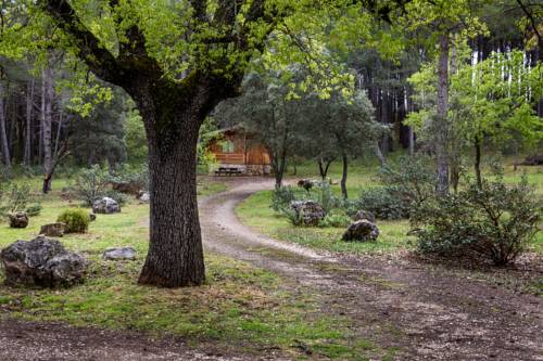 Imagen de la habitación del Hotel Caba&ntilde;as El Llano De Los Conejos. Foto 6