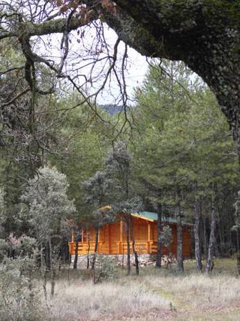 Imagen de la habitación del Hotel Caba&ntilde;as El Llano De Los Conejos. Foto 11