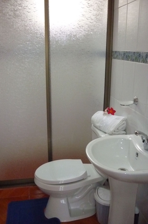 Imagen de la habitación del Hotel Cabañas Henua Iti. Foto 5