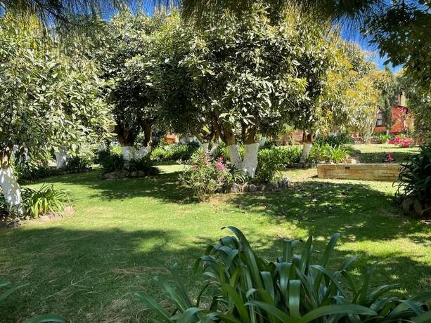 Imagen general del Hotel Caba&ntilde;as La Huerta. Foto 6