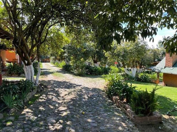 Imagen general del Hotel Caba&ntilde;as La Huerta. Foto 11