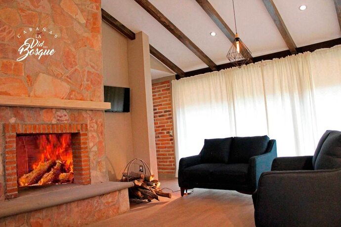 Imagen de la habitación del Hotel Caba&ntilde;as La Vid Del Bosque. Foto 13
