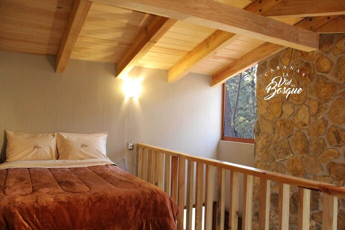 Imagen de la habitación del Hotel Caba&ntilde;as La Vid Del Bosque. Foto 14