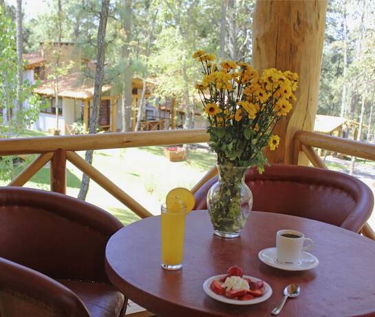 Imagen general del Hotel Caba&ntilde;as La Vid Del Bosque. Foto 8