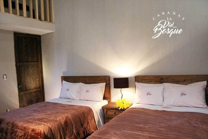 Imagen de la habitación del Hotel Caba&ntilde;as La Vid Del Bosque. Foto 16