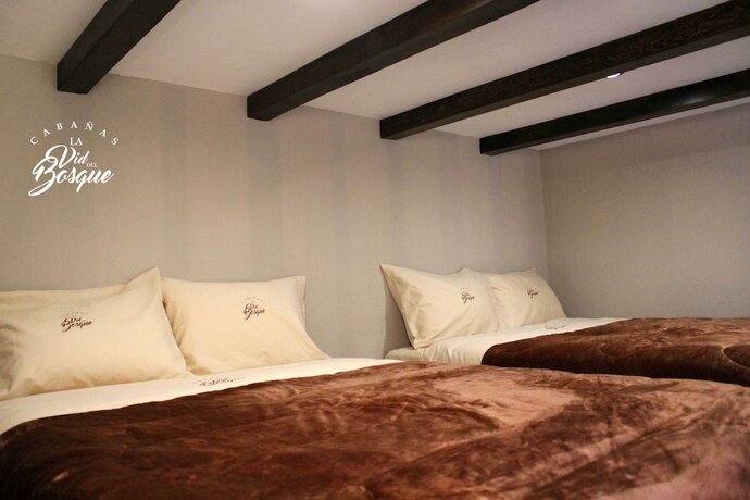Imagen de la habitación del Hotel Caba&ntilde;as La Vid Del Bosque. Foto 17